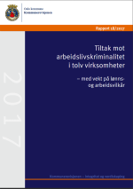 Tiltak mot arbeidslivskriminalitet i tolv virksomheter - med vekt p&aring; l&oslash;nns- og arbeidsvilk&aring;r
