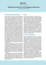 Pakkelevering under press: En kartlegging av budbransjen