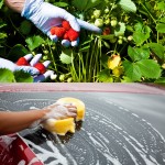 Grov utnytting eller menneskehandel – hvor går grensen?